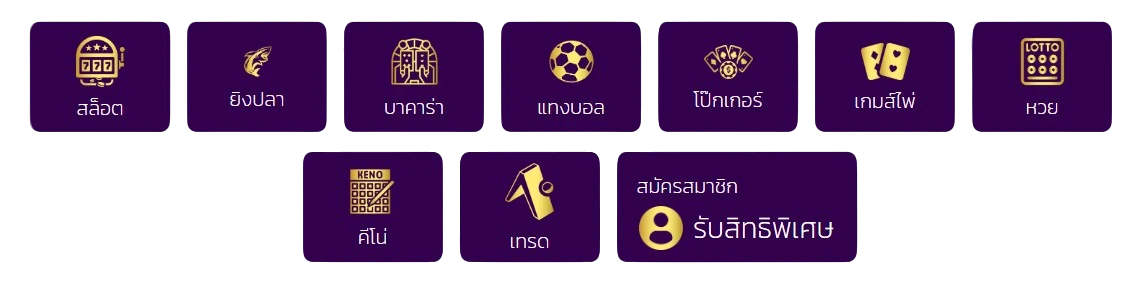 MEMBERPLUS168